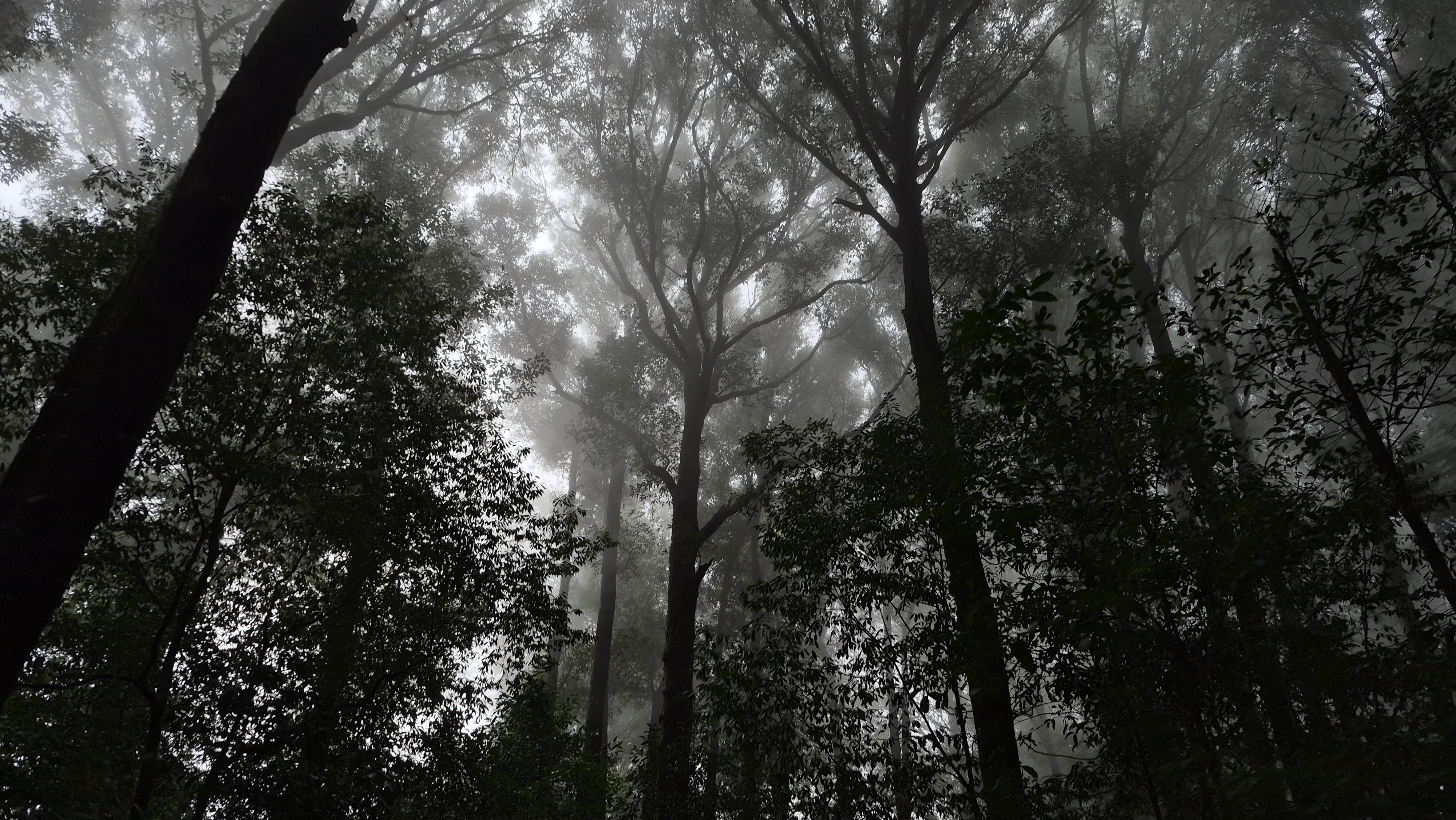 Trail landscape