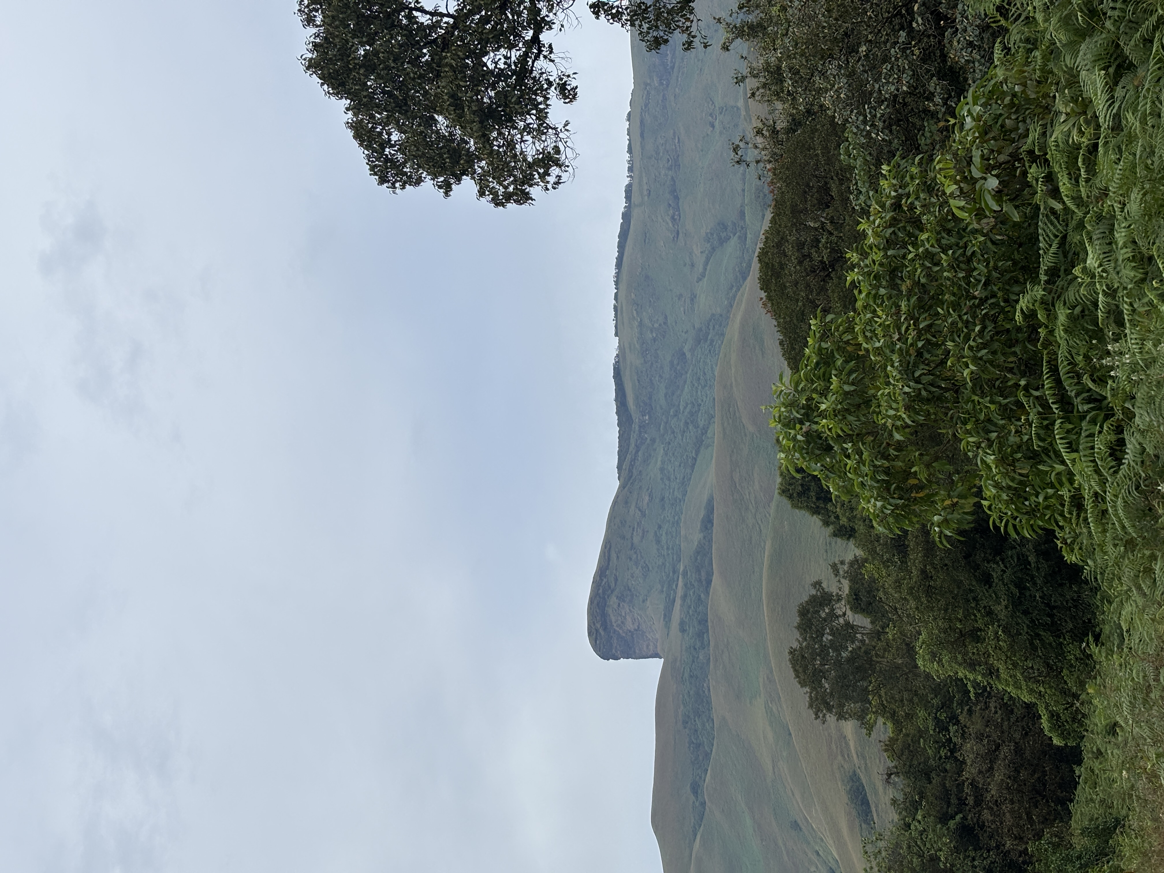 Summit horizon