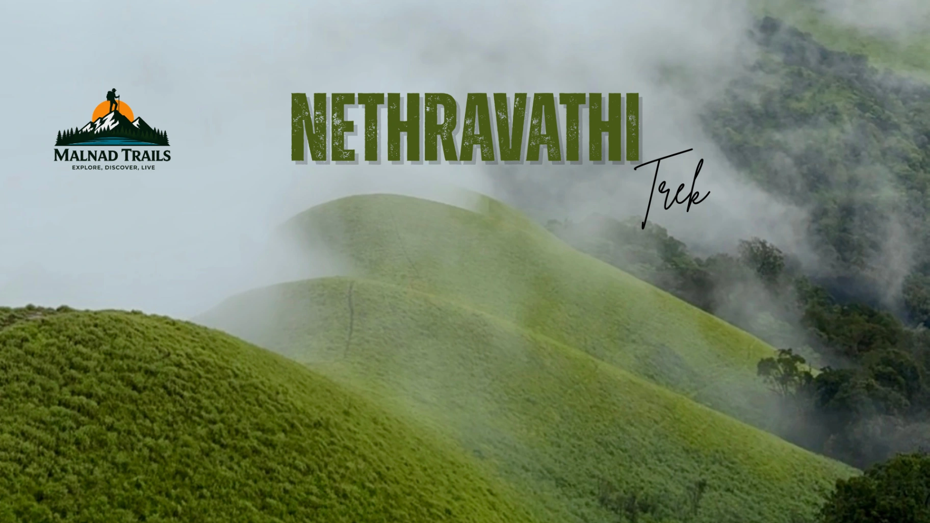 Nethravathi Peak Trek